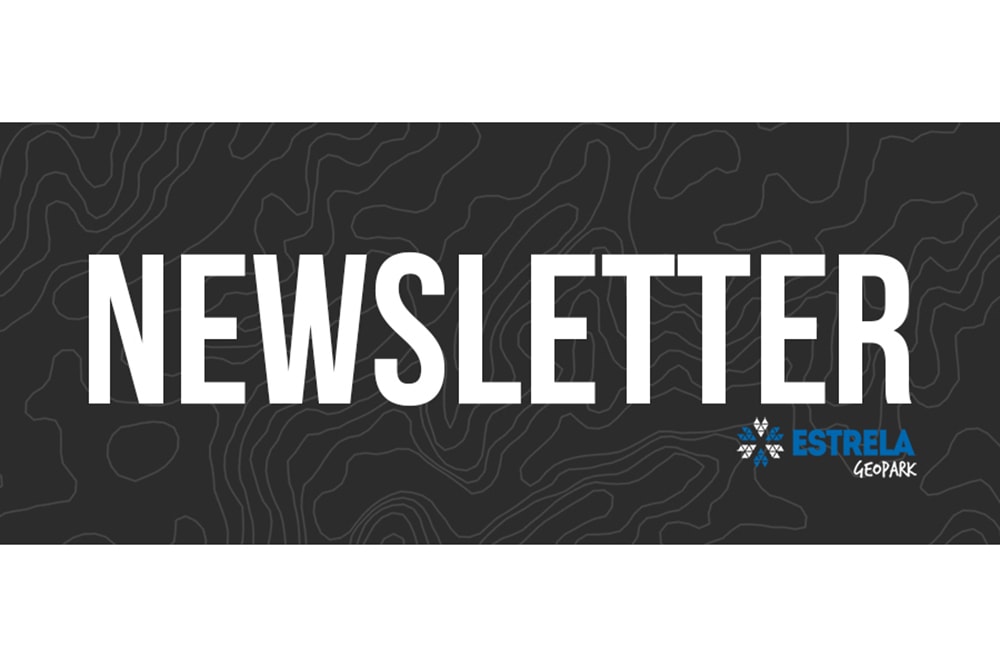banner_site_newsletters_set2018.jpg