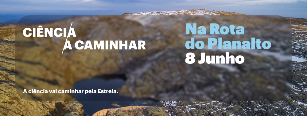 Banner-site---08.06.2025---Na-Rota-do-Planalto.png