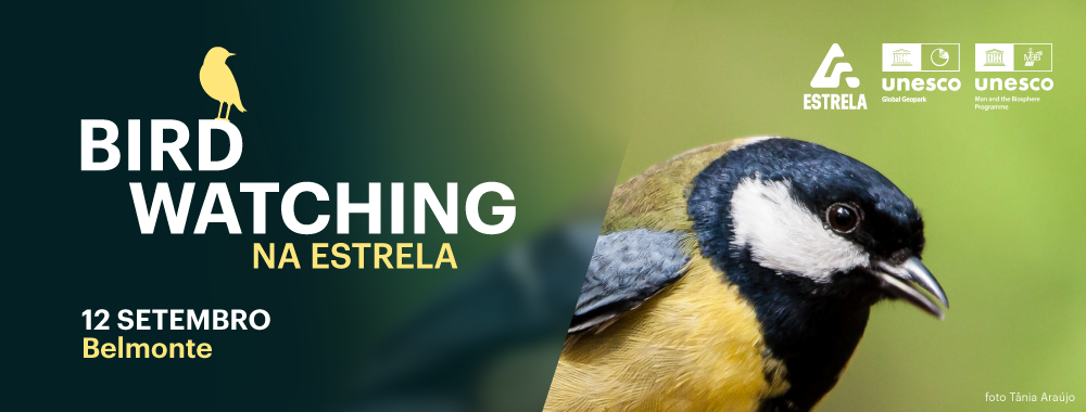 Banner-site--Birdwatching-Belmonte.png