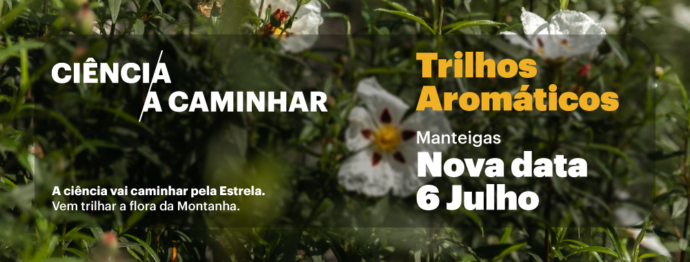 Banner-site-06.07.2025-Trilhos-Aromáticos-Manteigas.png