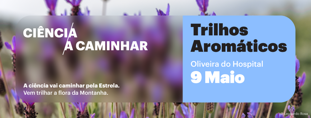 Banner-site-09.05.2026-Oliveira-do-Hospital.png