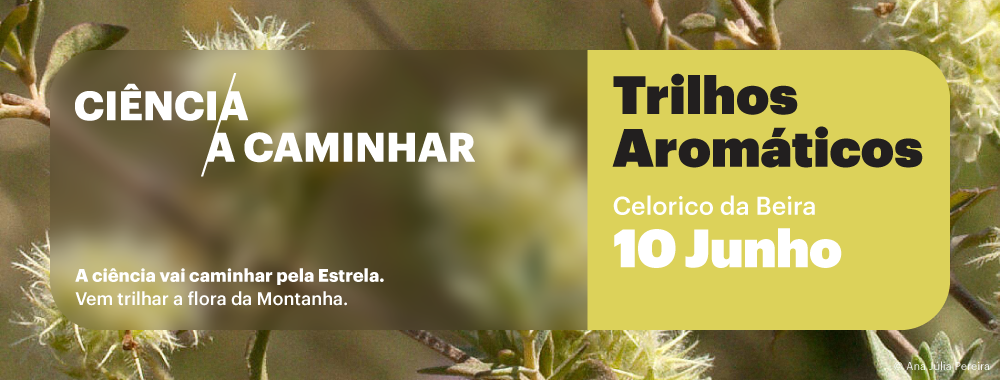 Banner-site-10.06.2026-Celorico-da-Beira.png