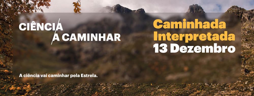 Banner-site-13.12.2025-Dia-Internacional-das-Montanhas.png