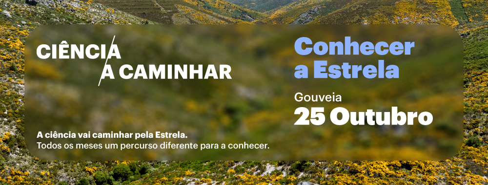 Banner-site-25.11.2025-Gouveia.png