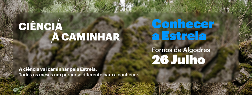 Banner-site-26.07.2025-Fornos-de-Algodresv1.png