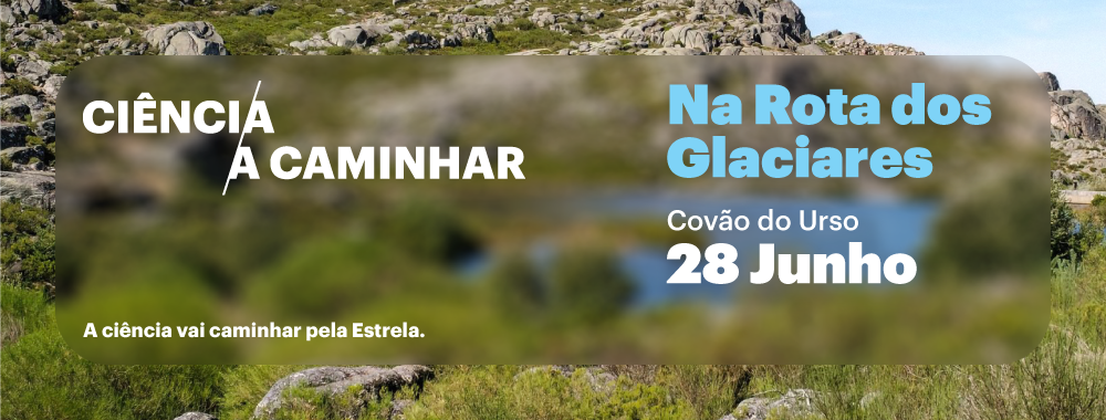 Banner-site-28.06.2025-Rota-dos-Glaciares.png