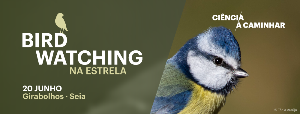 Banner-site-Birdwatching-Girabolhos.png