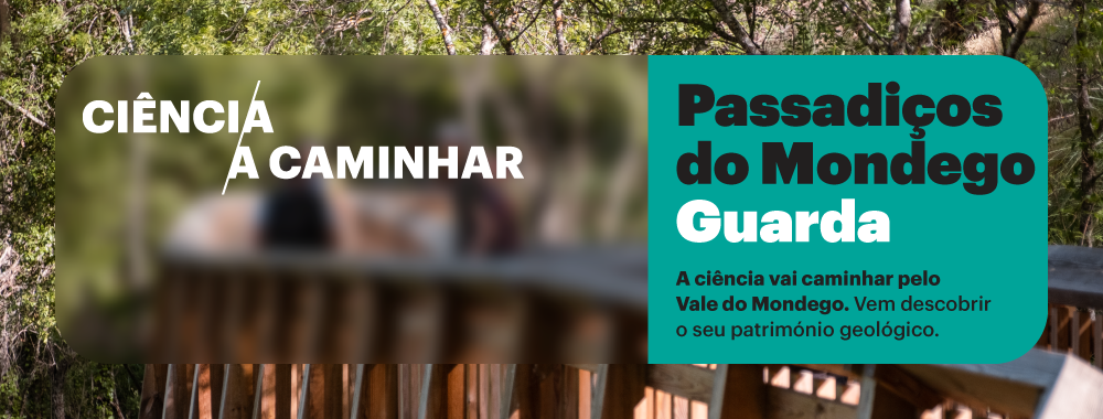 Banner-site-Passadiços-do-Mondego-2026.png