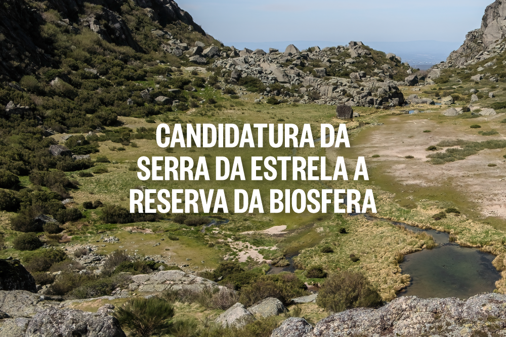 Banner-Noticia-Candidatura-Estrela-Biosfera.png